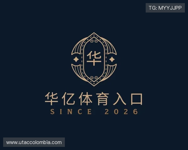 认识华亿体育入口